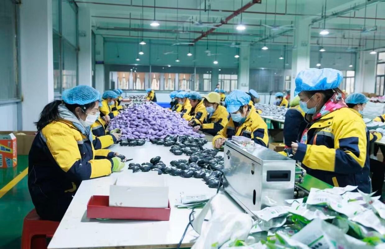 微信图片 20250920175737 55 173